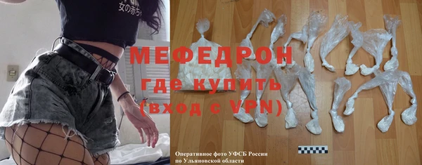 индика Елабуга
