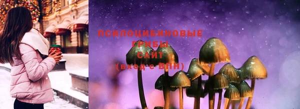 индика Елабуга