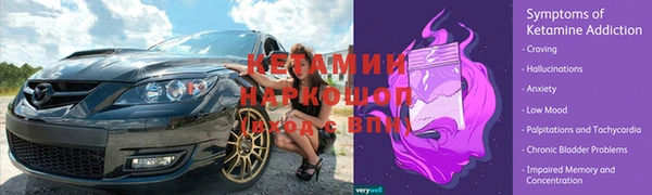 индика Елабуга