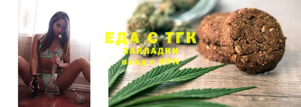 индика Елабуга