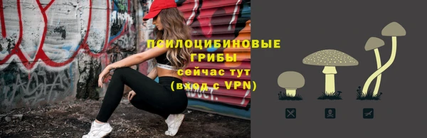 бошки Ельня