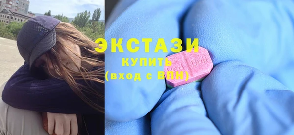 индика Елабуга
