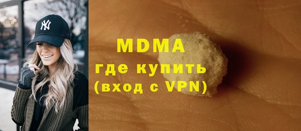 индика Елабуга