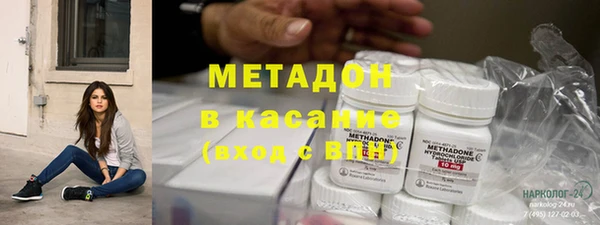 индика Елабуга
