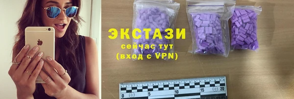 индика Елабуга
