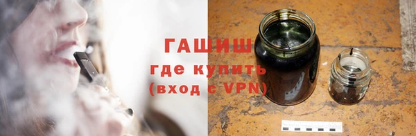 индика Елабуга