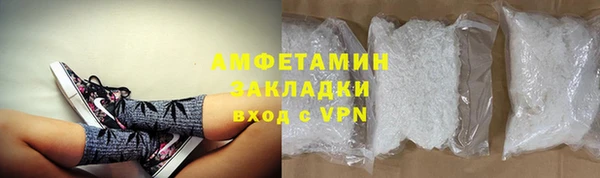 индика Елабуга
