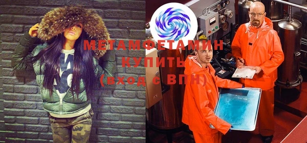 индика Елабуга