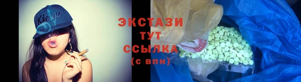индика Елабуга