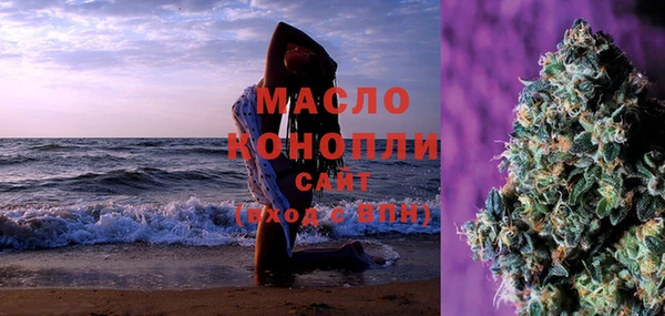 индика Елабуга