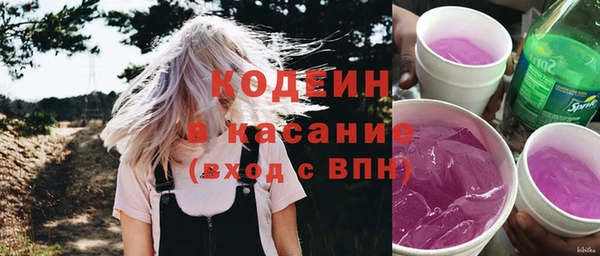 индика Елабуга