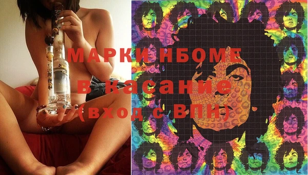 индика Елабуга