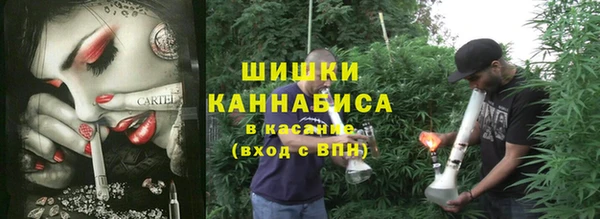 бошки Ельня
