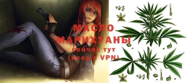индика Елабуга