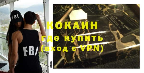 индика Елабуга