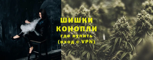 индика Елабуга