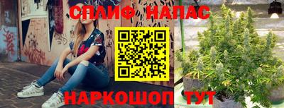 apvp Нальчик