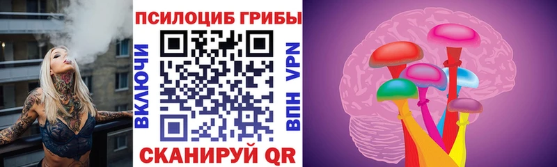 где купить наркоту  Старая Купавна  Галлюциногенные грибы мухоморы 
